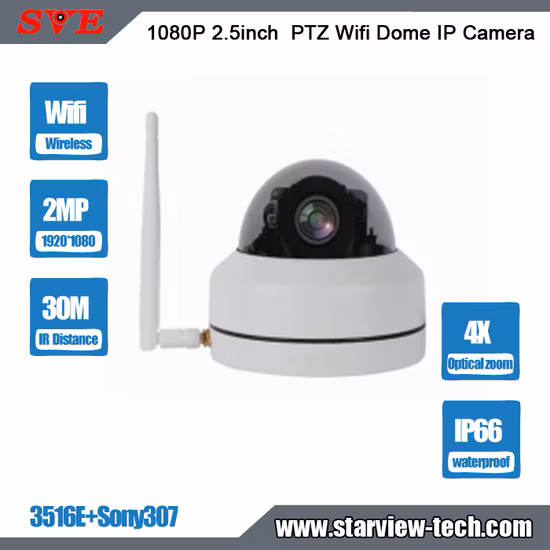 Bank and Shop 1080P Poe Mini WiFi IP Camera